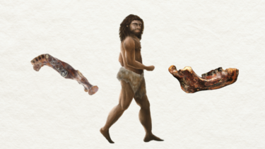 illustration af denisova-mand med kæbeknogle-fossil på hver side