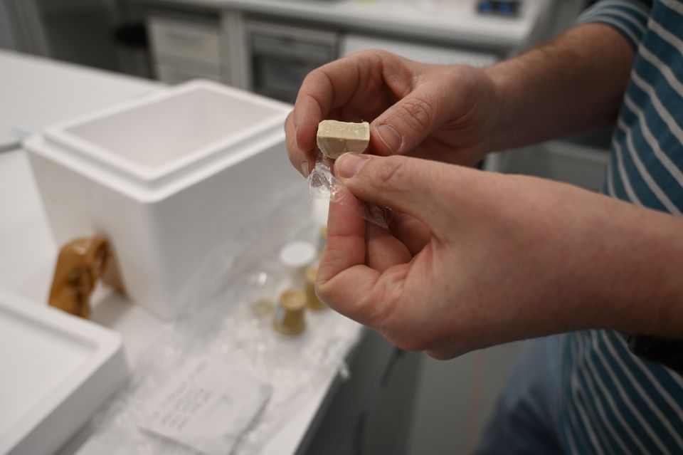 Forsker holder et stykke af den fremstillede foie gras