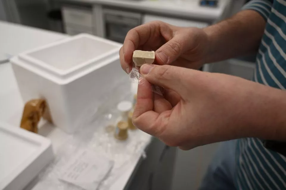 Forsker holder et stykke af den fremstillede foie gras