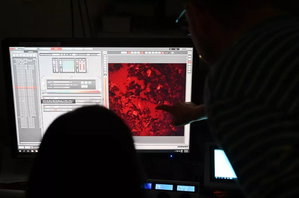 Forskere, der peger på billeder fra avanceret lasermikroskop