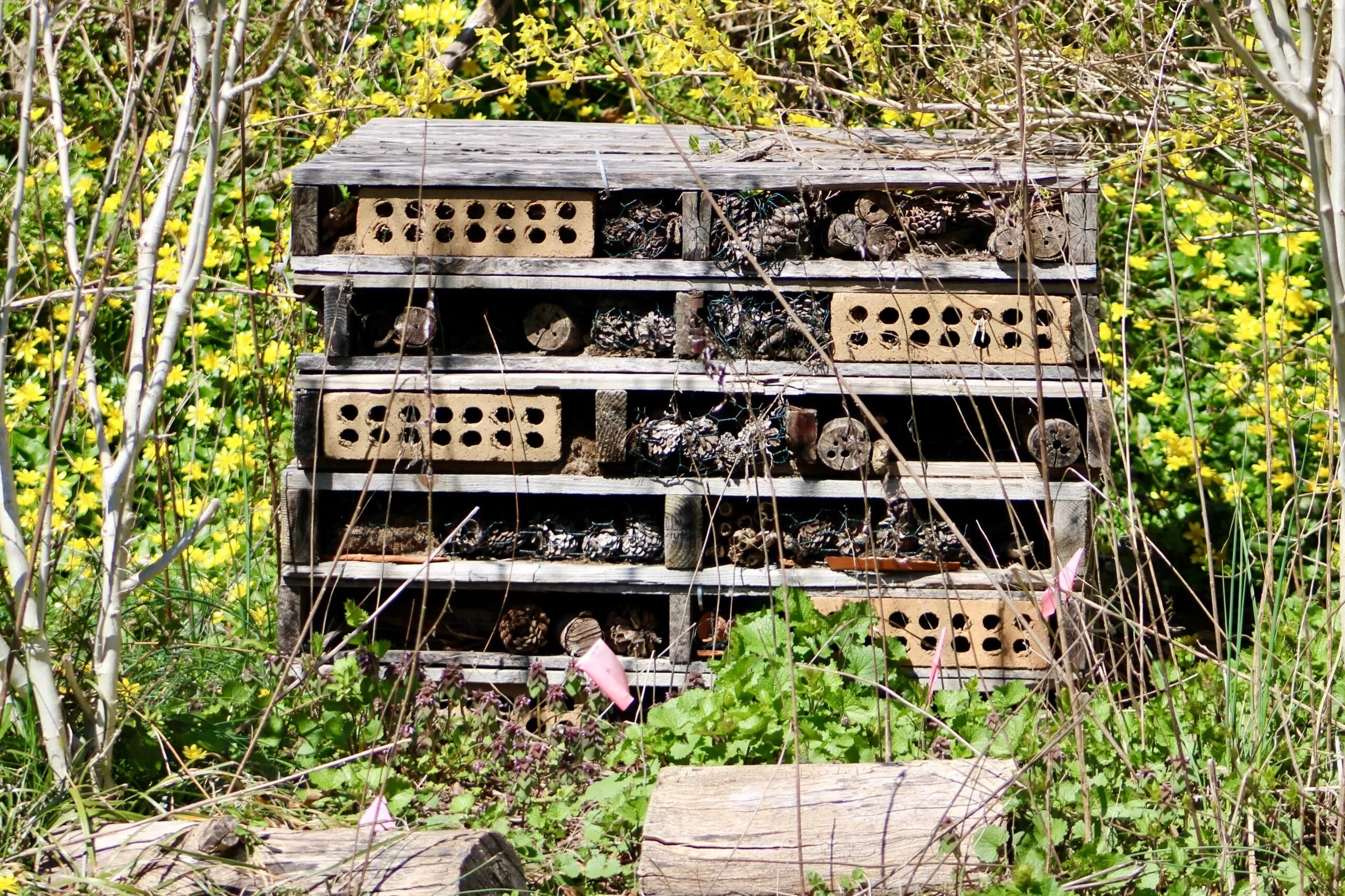 insekthoteller huser normalt gravehvepse. Så kan man se, når de har bragt bytte med sig, siger Frode Ødegaard. Nogle arter af gravehvepse foretrækker at sætte bladlus på børnemenuen. Andre serverer snudebiller, græshopper eller larver.
