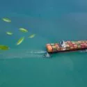 Et fragtskib med farverige containere eskorteres af to slæbebåde på blågrønt vand, mens grønne blade ser ud til at flyde ovenover og symboliserer miljøvenlig skibsfart.