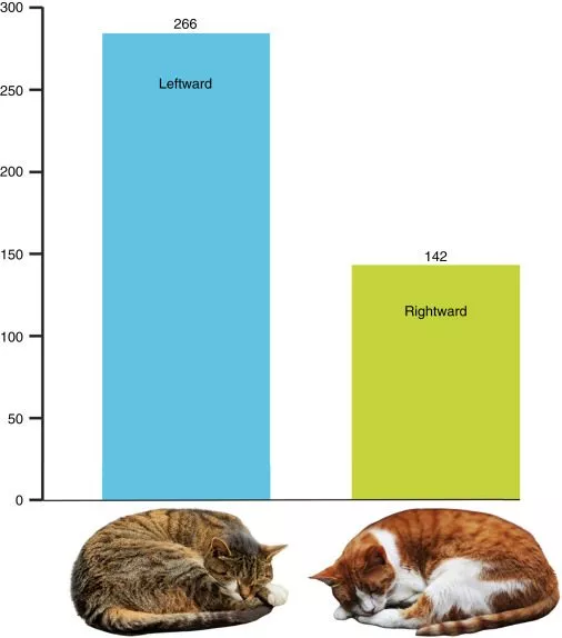 To grafer i blå og grøn med to billeder af katte nedenfor, som viser at 66 procent af kattene foretrækker at sove på deres venstre side.