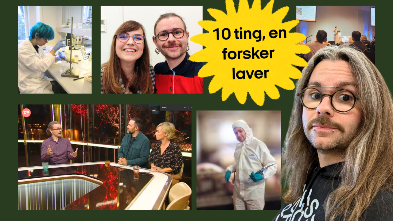 En collage af billeder, der viser en videnskabsmand i forskellige situationer: Han arbejder i et laboratorium, poserer med en kollega, taler på tv, præsenterer for et publikum og har en hættetrøje på. Teksten i en gul streg siger 10 ting, en forsker laver.