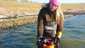 Videnskabelig assistent Karoline Kiilerich tager prøver fra Gyldensteen kystlagune på Fyn.
