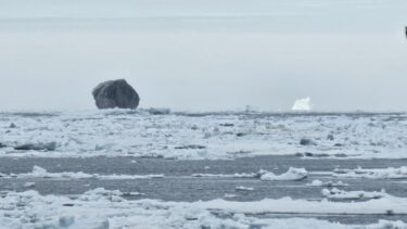 Det sorte isbjerg i Labradorhavet