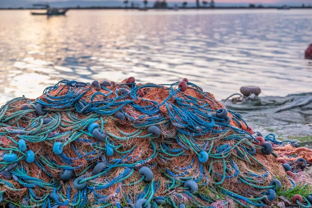 Hvis fiskenet som disse var lavet af et bionedbrydeligt materiale, vil der ikke være så mange fisk, der led i 'spøgelsesnet'.