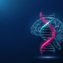 En lysende digital illustration af en DNA-dobbelthelix i pink og blå nuancer vises foran et gennemsigtigt omrids af en menneskehjerne på en mørkeblå baggrund.