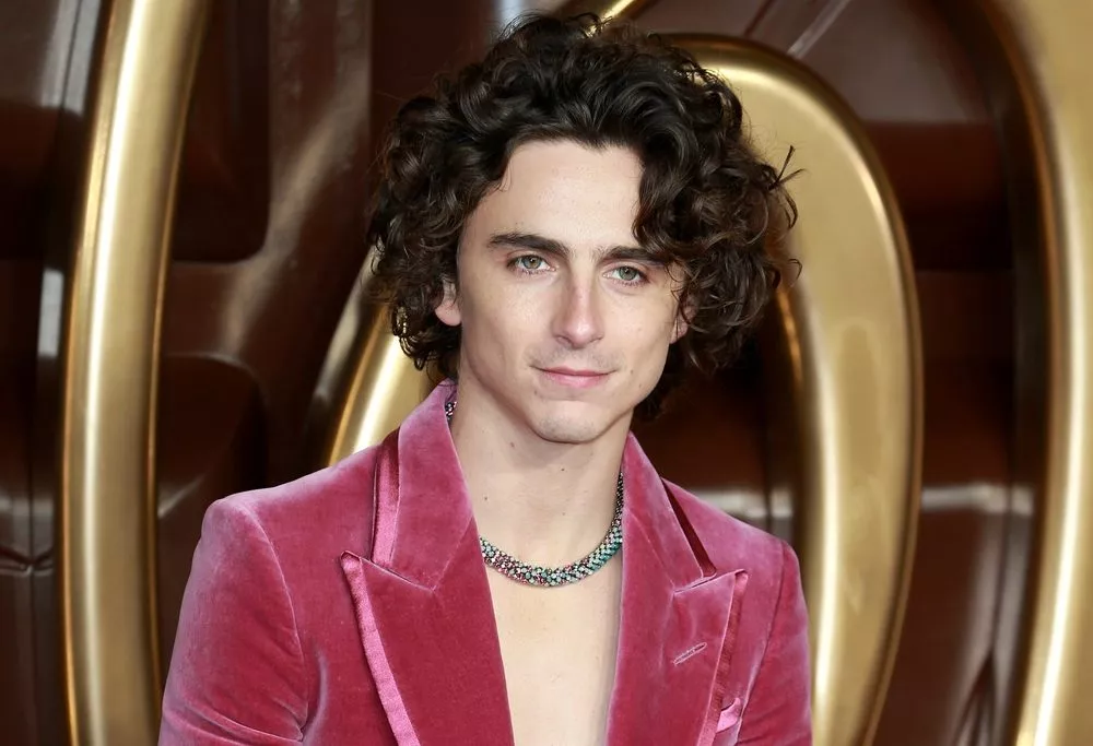 Timothée Chalamet med krøllet brunt hår bærer en pink fløjlsjakke og en sølvhalskæde og står foran en dekorativ baggrund af guld.