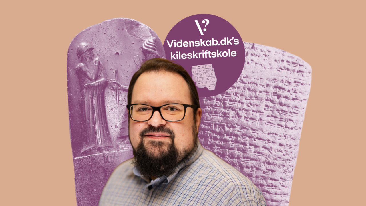 En mand med briller og skæg står foran gamle kileskrifttavler. I en lilla cirkel står der "Videnskab.dk's kileskriftskole" med et kileskrifttegn og et spørgsmålstegn på en beige baggrund.