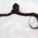 En enkelt mørk dreadlock af hår ligger på en hvid overflade, løst sammenrullet med den ene ende, der danner en lille løkke, og den anden ende, der ser lidt flosset ud.