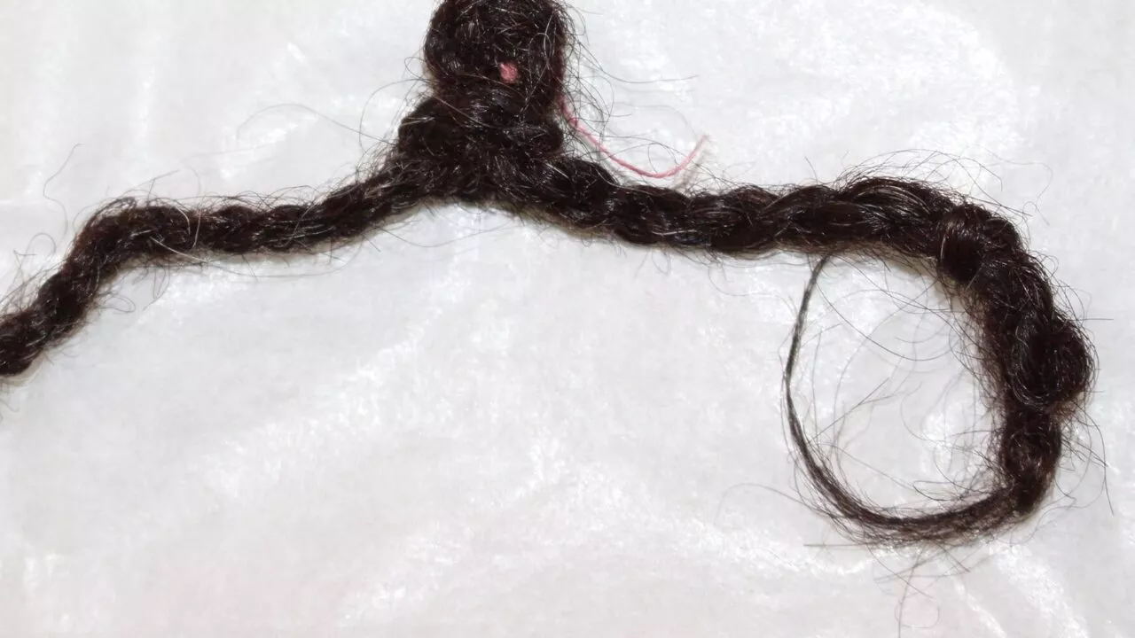 En enkelt mørk dreadlock af hår ligger på en hvid overflade, løst sammenrullet med den ene ende, der danner en lille løkke, og den anden ende, der ser lidt flosset ud.