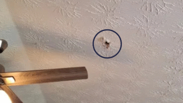 Et loft med en struktureret finish har et lille hul, der er markeret med blåt, og som er placeret nær et loftsventilatorblad i venstre side af billedet.