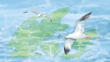 Hvordan støvsuger man en havbund for at finde tegn på en forhistorisk boplads? (Illustration: Ditte Svane-Knudsen)