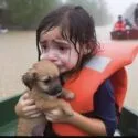 En ung pige i orange redningsvest holder en lille brun hundehvalp tæt ind til sig, mens hun græder. Begge er våde og ser forpinte ud, med redningsmænd i en båd og vandmasserne - langt fra AI-slops verden - i baggrunden.