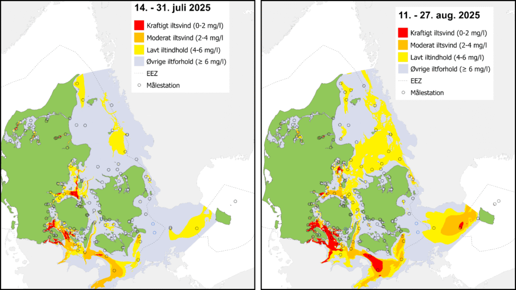 To kort over Danmark viser vandkvaliteten i juli og august 2025 ved hjælp af farvekoder (rød, orange, gul, grøn, grå) for at angive niveauet af iltsvind i kystvandene. En legende og geografiske konturer er inkluderet.