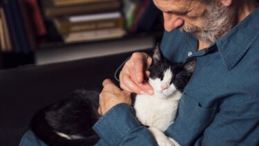 En ældre mand med gråt skæg klapper forsigtigt en sort og hvid kat, der hviler fredeligt på hans skød. Manden er iført en blå skjorte og ser tilfreds ud, mens bøger er synlige i den slørede baggrund.