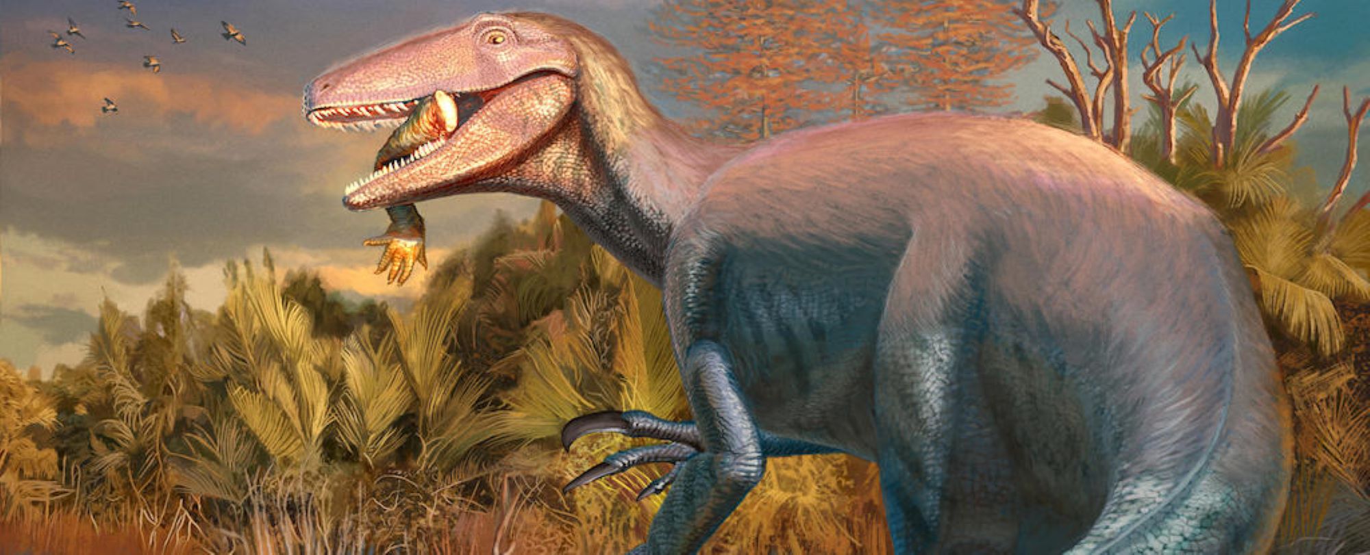 Tettel Raptor Ny megaraptor fundet med utroligt sidste måltid i munden