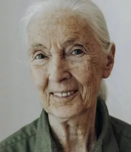 En ældre kvinde med langt hvidt hår, lys hud og blå øjne smiler blidt til kameraet. Hun er iført en grøn skjorte med krave og har en baggrund af bløde, neutrale farver.