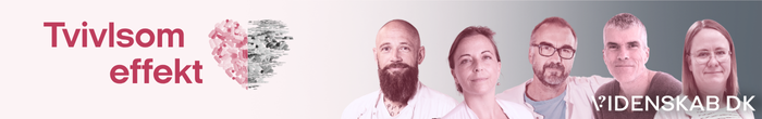 Banner med den danske tekst Tvivlsom effekt, en lyserød blomsterillustration og fem mennesker på rad og række ved siden af Videnskab.dk-logoet på en lyserød baggrund.