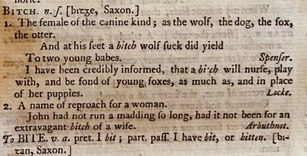 Et ordbogsopslag for bitch med to definitioner, litterære eksempler fra Spenser, Locke og Arbuthnot og etymologiske noter, med gammeldags skrifttype og stavning.