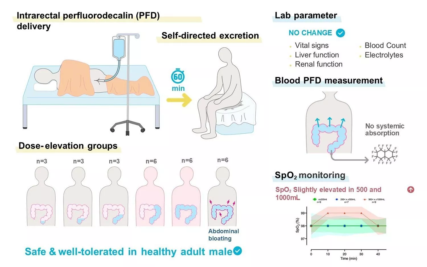 Infografik, der viser en undersøgelse af intrarektal perfluorodecalin (PFD) hos voksne mænd, hvor dosis, laboratorieresultater, udskillelse, blodabsorption, abdominal oppustethed og SpO2-overvågning blev vurderet. Undersøgelsen betegnes som sikker og veltolereret.