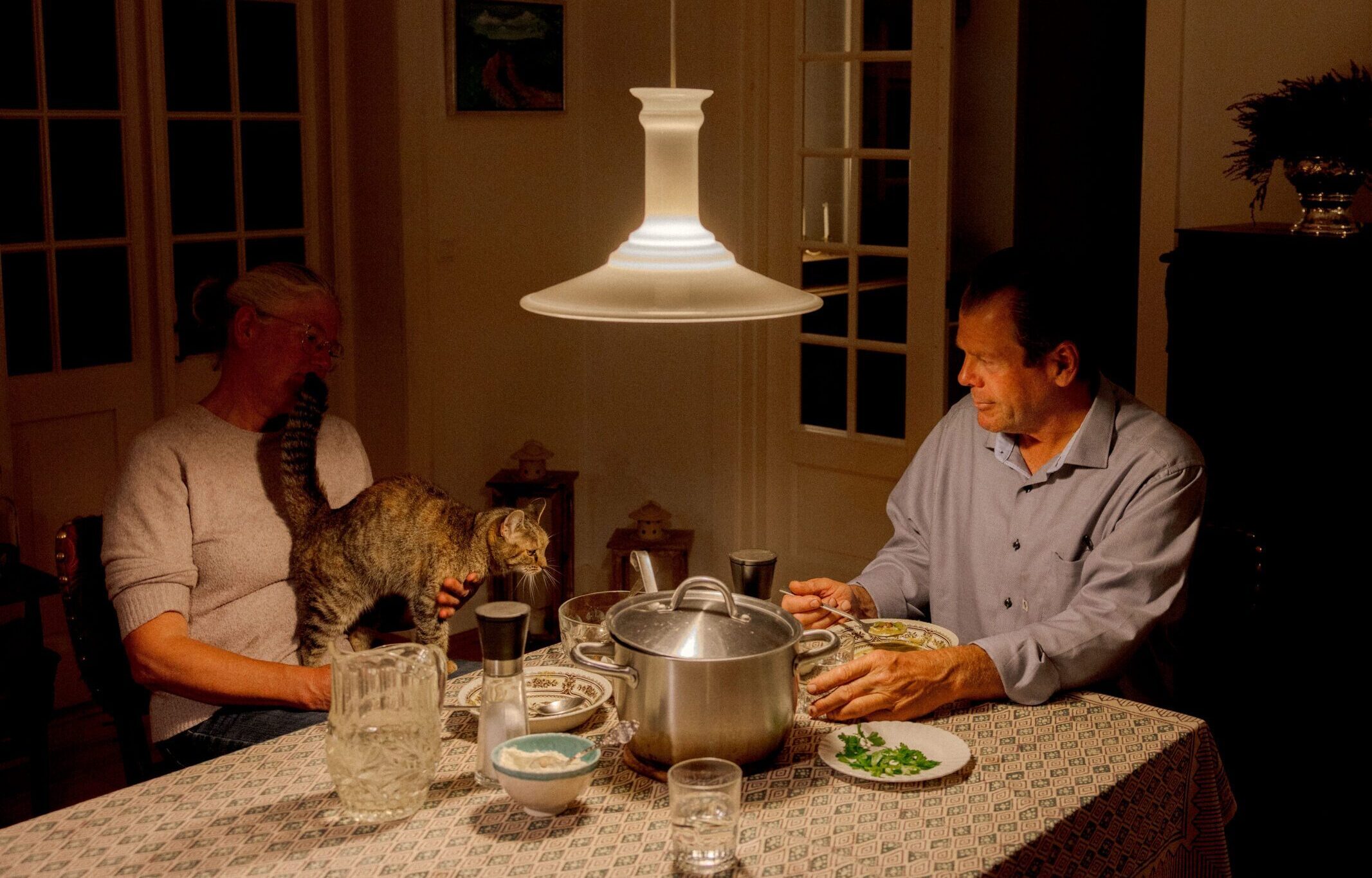 En mand og en kvinde sidder ved et spisebord, der er dækket til et måltid. Manden spiser, mens kvinden, som er delvist skjult af en kat, der står på bordet, kigger på katten. Rummet er varmt oplyst af en hængelampe.
