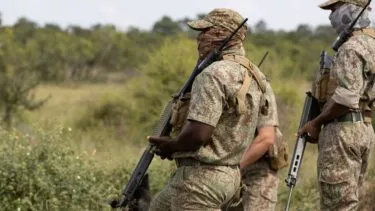 Tre soldater i camouflageuniformer og taktisk udstyr står på en græsplæne med geværer i hånden og kigger fremad - som rangere i Sydafrika beskytter truede dyrearter mod krybskytter midt i frodigt grønt løv.