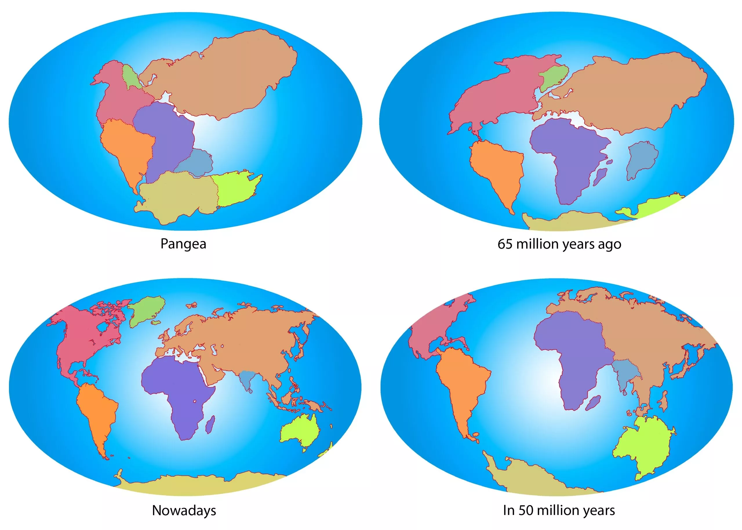 Et diagram med fire verdenskort, der viser kontinentaldrift: Pangea, for 65 millioner år siden, i dag og en forudsigelse for 50 millioner år frem i tiden, der illustrerer kontinenternes skiftende positioner over tid.