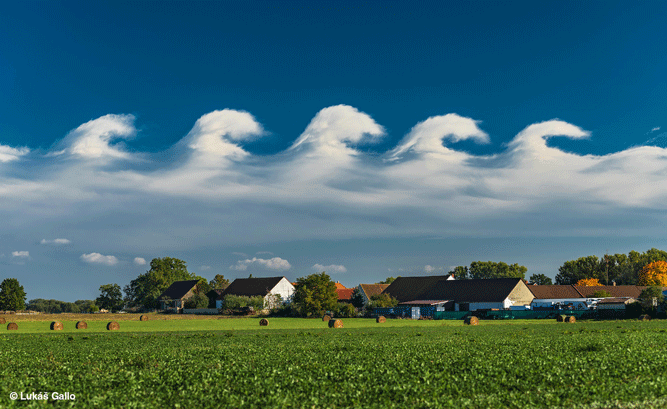En række huse og træer står bag en grøn mark med høballer under en blå himmel, hvor unikke, bølgende skyer, der ligner havets bølger, danner et usædvanligt mønster.