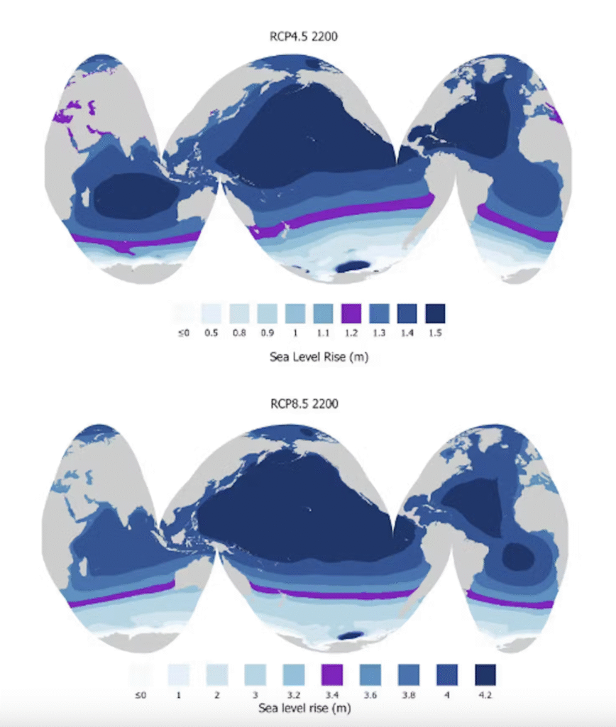 To verdenskort viser Antarktis' bidrag til havniveaustigningen i år 2200 ved middel (øverst) og stor (nederst) CO2-udledning. Lilla markerer den globale gennemsnitlige havniveaustigning, mens mørkeblå viser regionalt højere niveauer.