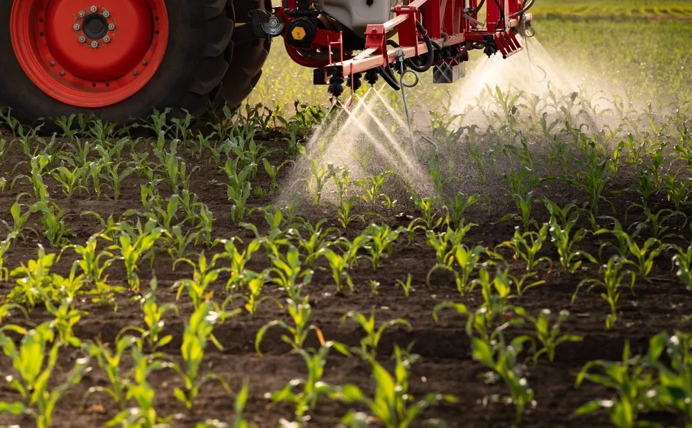 En traktor sprøjter væske ud over unge, grønne afgrøder på en mark, hvor sollyset oplyser planterne og jorden. Sprøjten er fastgjort til traktoren og spreder tåge på de voksende planter.
