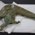 En korroderet, antik pistol med grønlig patina ligger på et hvidt, polstret klæde mod en sort baggrund. Pistolen ser gammel og forvitret ud med rust og manglende dele.