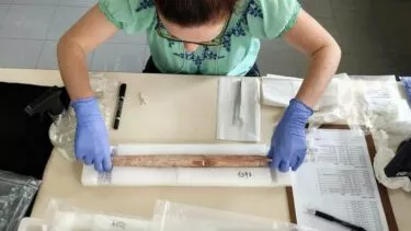 En person iført blå handsker og en grøn skjorte undersøger en lang genstand på et bord dækket af plastikposer, papirer og værktøj, muligvis i et laboratorium eller en forskningsinstitution.