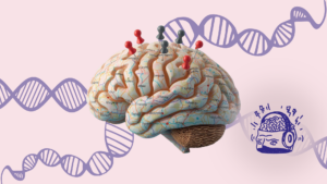En illustreret hjernemodel, der ligner et kort med knappenåle i står foran blå DNA-strenge i baggrunden.