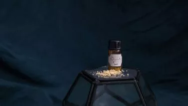 Et lille hætteglas mærket "DMT" med et kemisk strukturdiagram står på en geometrisk glaspiedestal omgivet af gulligt pulver på en mørkeblå baggrund.