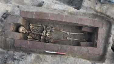 Et skelet i en murstensvæg.