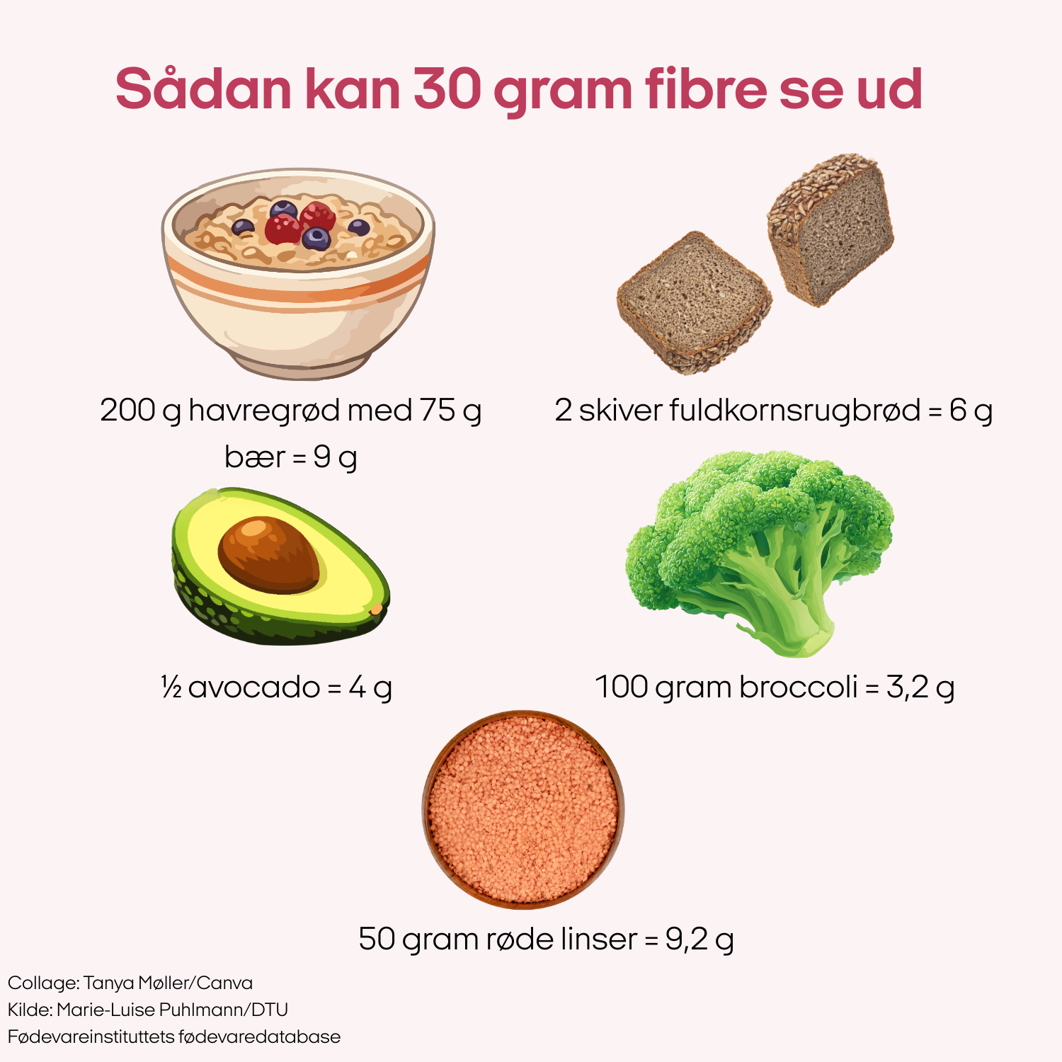 Illustration af fødevarer, der giver 30 gram fibre: en skål havregryn med bær, to skiver fuldkornsrugbrød, en halv avocado, en portion broccoli og en skål røde linser med angivelse af fibermængder.