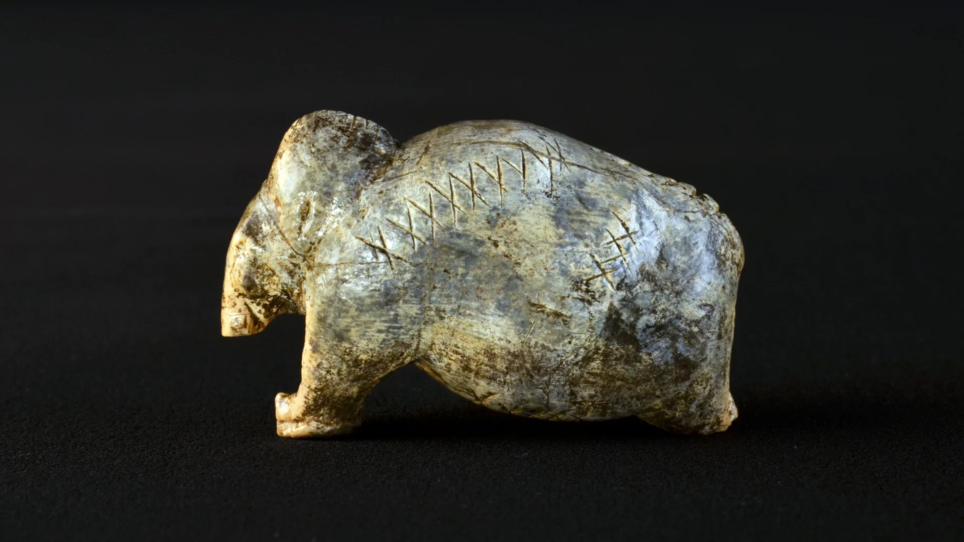 En lille forhistorisk skulptur af en bjørn udhugget i sten med indgraverede linjer på ryggen, vist mod en sort baggrund.