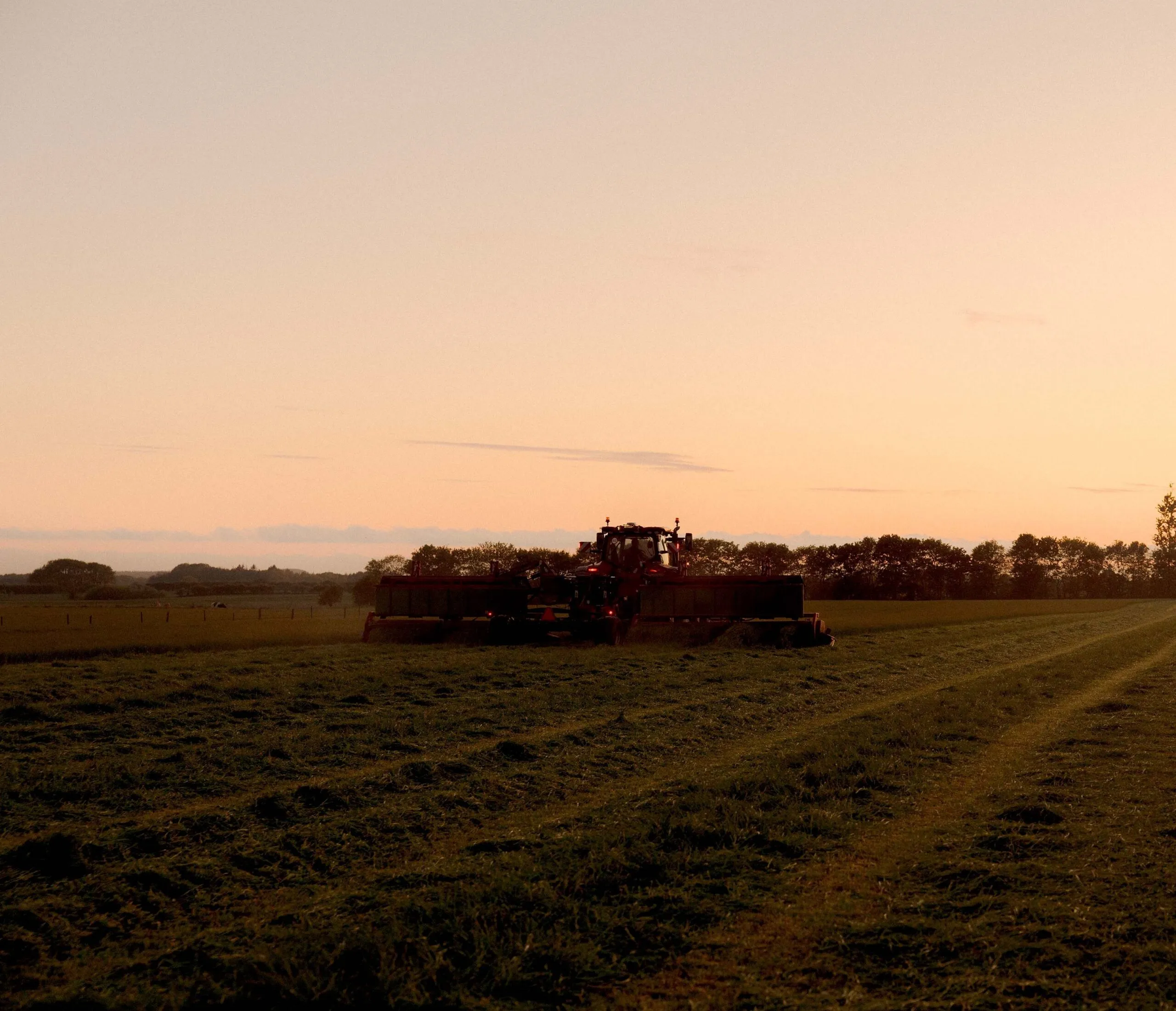 En stor traktor slår græs på en åben mark ved solnedgang, med træer i baggrunden og en himmel, der lyser blødt op i pastelfarver.