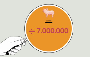 En hånd holder et forstørrelsesglas, der fokuserer på en orange cirkel med en griseillustration, et lighedstegn og ligningen ÷ 7.000.000 i lyserøde tal.