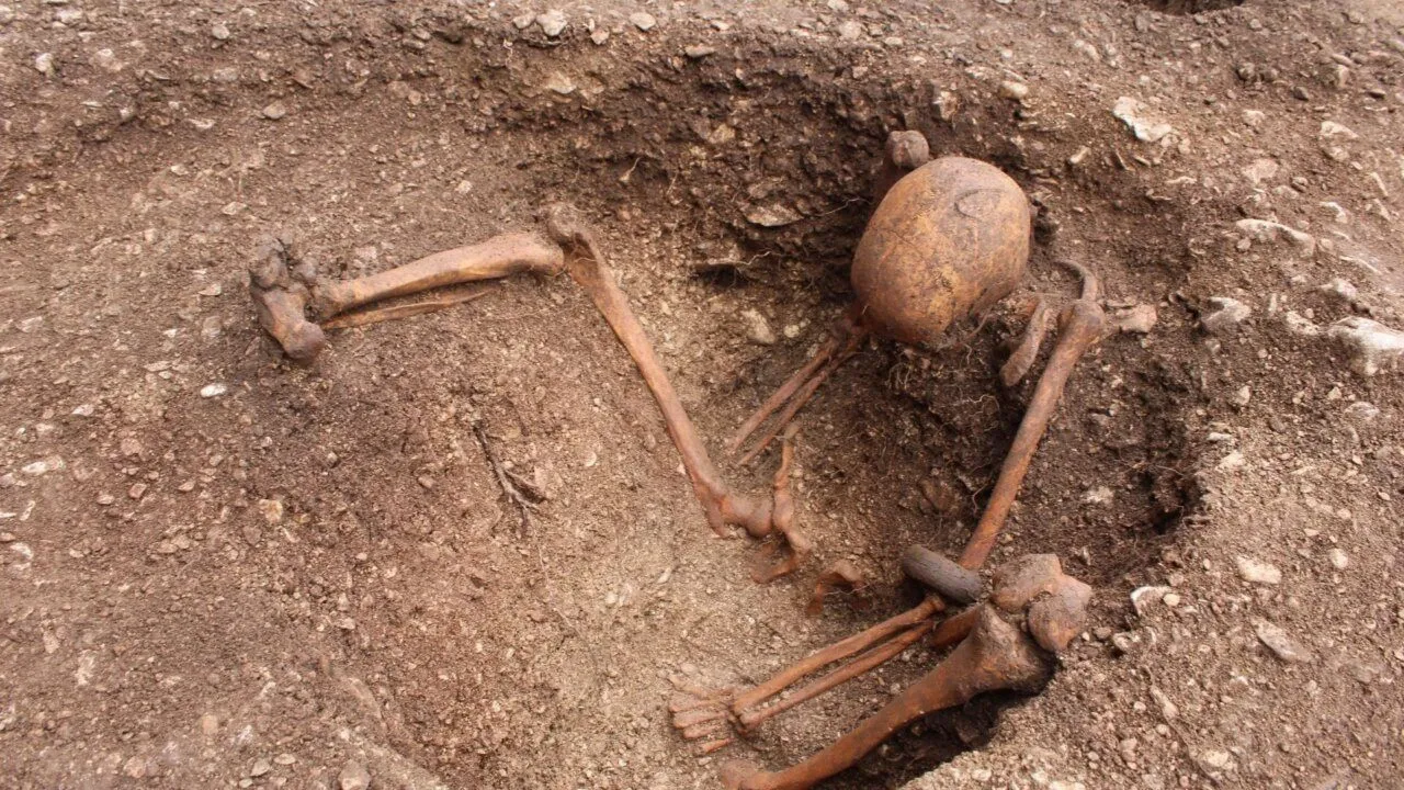 Et delvist udgravet menneskeskelet ligger i en lav grav med kraniet og benknoglerne synlige og jord omkring resterne. Knoglerne ser gamle ud, og området ligner et arkæologisk udgravningssted.