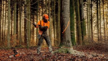 En person i sikkerhedsudstyr hugger en træstamme over med en økse i en skov om efteråret, hvor orange og brune blade dækker jorden, og sollyset trænger ind gennem træerne. En motorsav ligger på jorden i nærheden.