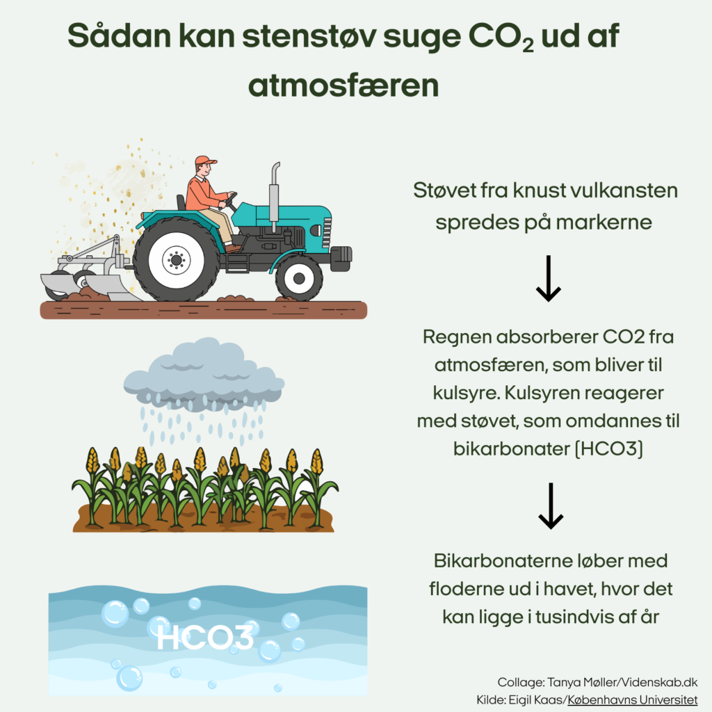 En landmand kører en traktor og spreder knust vulkansk sten på en mark. Regnen absorberer CO2, som reagerer med klippen og danner bikarbonater, der strømmer ud i havet og lagrer CO2 i tusindvis af år. Dansk tekst forklarer processen.