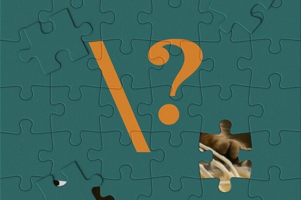 Puslespil: Lader du dig narre af falske billeder?