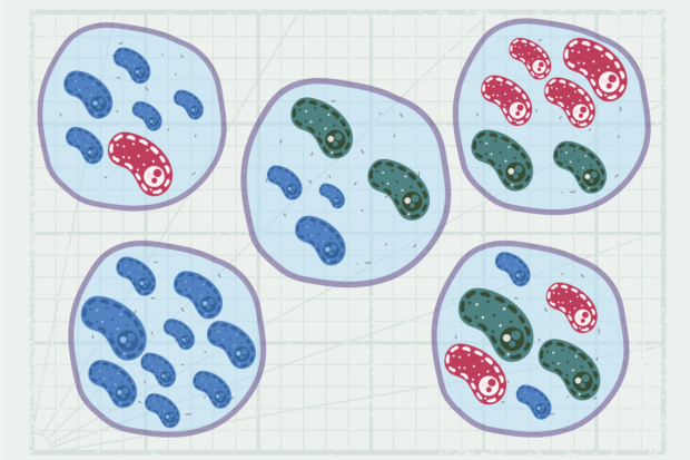 Et mikroskopisk nabodrama: Bakterier i din drikkedunk lærer af hinanden
