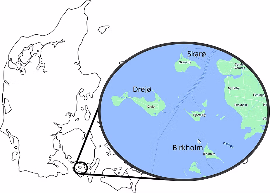 Et kort over Danmark viser Drejø, Skarø og Birkholm i syd med et forstørret udsnit, der viser deres placering i det omgivende hav nær fastlandet.
