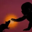 Kan man lære en baby, at den skal blive bange for en rotte, eller noget helt andet?