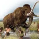 En gruppe forhistoriske mennesker bevæbnet med spyd omringer og jager en stor ulden mammut i et græsklædt, sumpet landskab under en overskyet himmel.