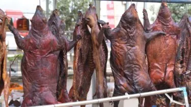 Flere røgede eller ristede dyrekroppe, sandsynligvis gnavere som rotter, hænger i halsen på metalstænger på et udendørs marked. Baggrunden viser slørede træer og urbane elementer.